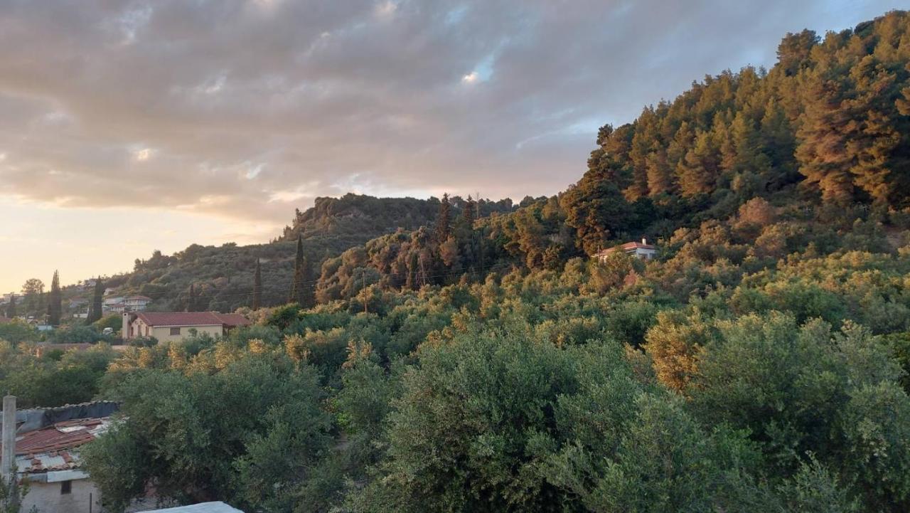 Homonatura. Sense Of Native Living. Pyrgos  Bagian luar foto